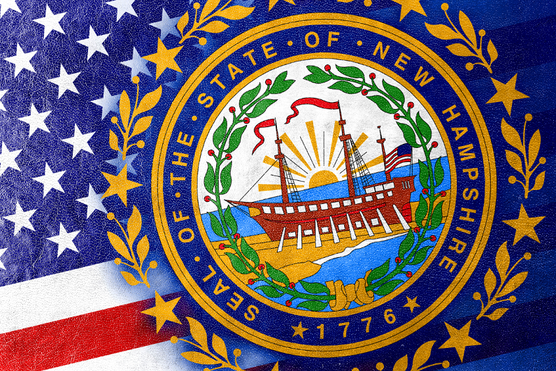 New Hampshire state flag painted on leather texture