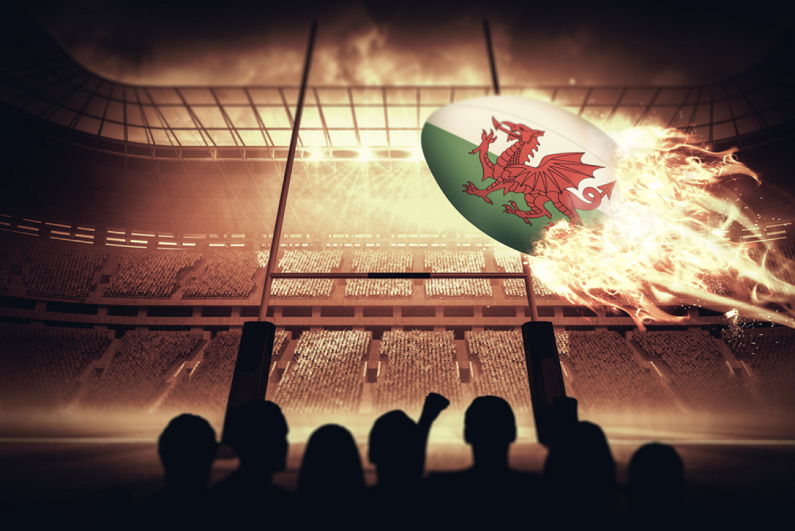 silhouettes of Wales supporters against rugby pitch